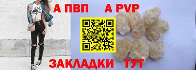 бошки Кингисепп