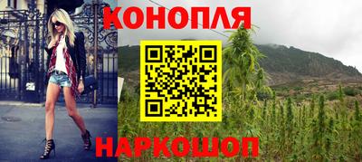 бошки Кингисепп