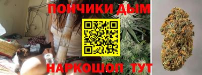 сатива Камышлов