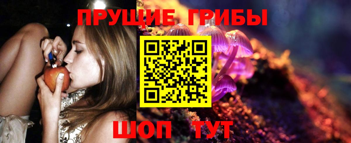 Арсеньев  Псилоцибиновые грибы GOLDEN TEACHER  Вход с VPN 